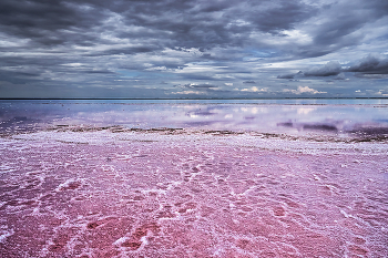 &quot;Розовое&quot; озеро / Крым, озеро Сасык-Сиваш