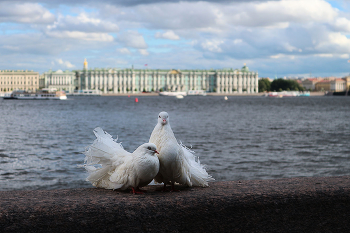 Двое в городе. / ***