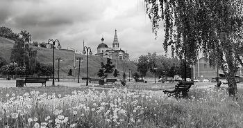 Одуванчики в старом городе С. / Майский сюжет из Подмосковья. Серпухов 2023 год.