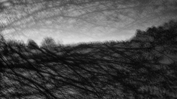 Жизнь вокруг / ***