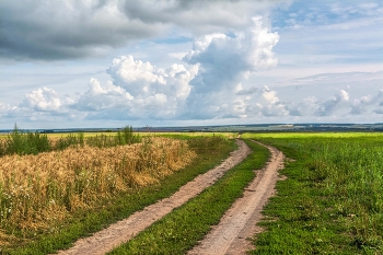Русские пейзажи / конец июля, Ивановская область