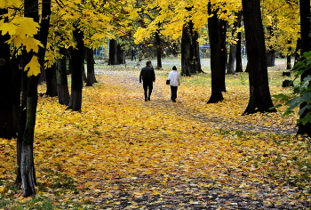  / В городском парке...