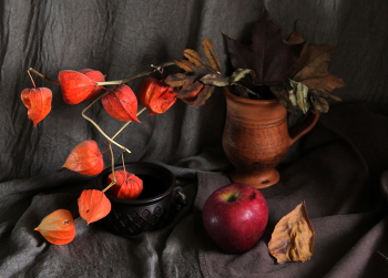 Натюрморт с физалисом! / Осенний натюрморт!