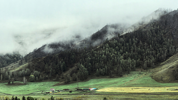   / фототур из окна автобуса...