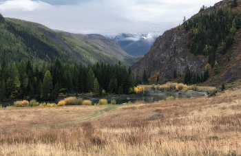 Осенняя Чуя / ***