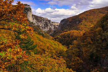 Осень в Большом Каньоне Крыма / Крым, Соколиное, Большой Каньон Крыма