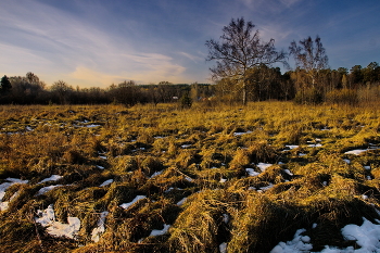 *Вечереет.** / *Томская область.**