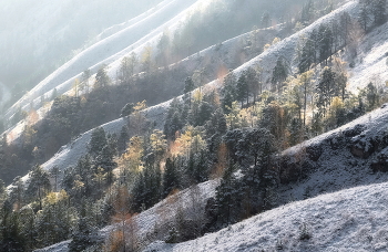 Осенне-зимний склон / ***