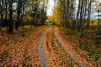 *Дорога в осень** / ***