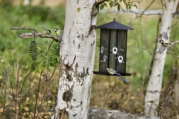 все включено* / В кафетерии "все включено" с утра весело...