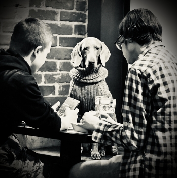 Третьим будешь?.. / Люди, животное, я/б