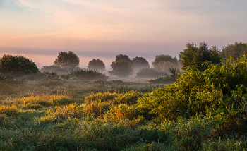 На рассвете в августе. / ***