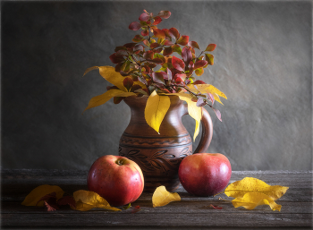 &nbsp; / https://irina-pro-photo.ru/still-lifes