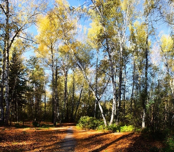 Последния ясные дни сентября / ***