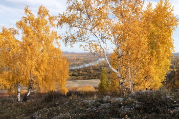 Золотая осень / Хакасия. Осень в долине Онло