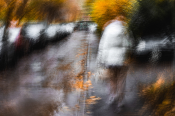 Осень / Как быстро золотая осень превращается в унылую?