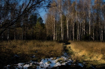 **Октябрьский снег. / *Томская область.**