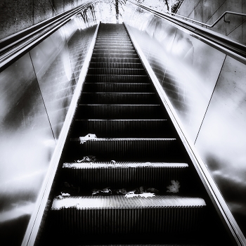 В эпоху падающих листьев / ***