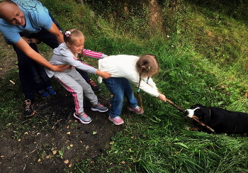 Название очевидно / Обрадовалась что наша Чио-Чио-Сан пользуется успехом, и решила выставить несовершенный, но весёлый снимок состязания за волшебную палочку. В итоге приз завоевала Чио-Чио-Саня :)