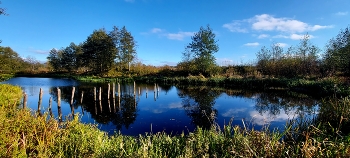 осенний уголок / ***