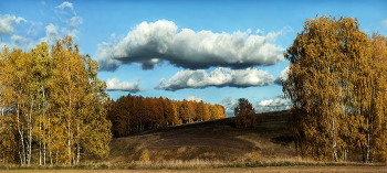 Жёлтое и синие. / Жёлтое и синие.