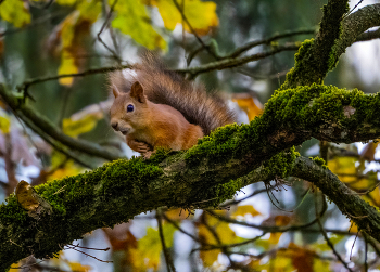 Это вы мне ?) / ***