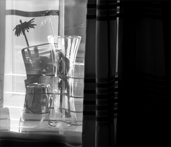 Лето / Без описания