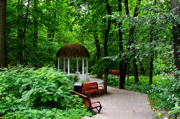 Кузьминский парк / Кузьминский парк в Москве. Август 2023.