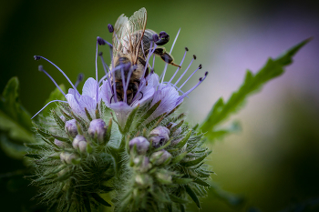 С головой в работе / ***