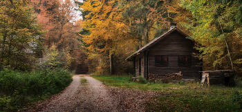 Избушка в осеннем лесу / ***