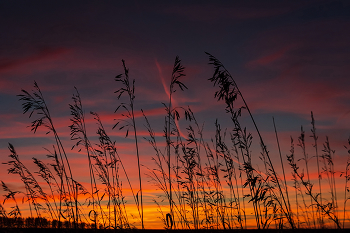 Закат, как миг, что длится без конца.... / Путники заката.