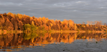 Осень золотая / Золотой закат
