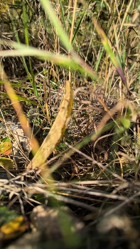 Нижний уровень / ***