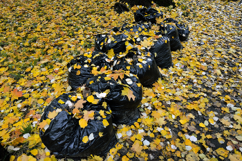 Осень уходит... / ***