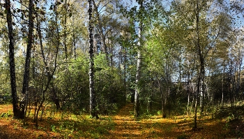 Сентяьрьский день / ***