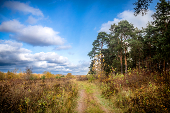 На опушке леса / Прогулка по загородному парку города Кирова