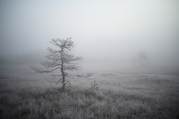 &nbsp; / октябрь 2025.