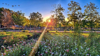 &nbsp; / Reus - Passeig Boca de la Mina (jardí botànic) - Baix Camp