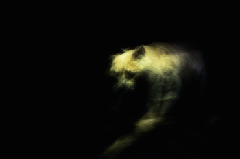 Жизнь вокруг / ***