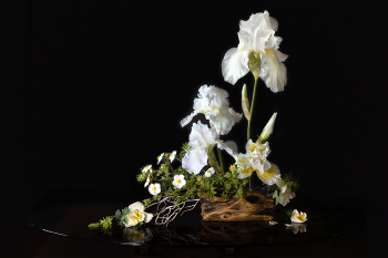 Белые цветы / ***