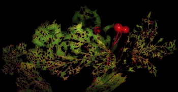 Последние ягоды. / Натюрморт.