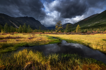 Что-то надвигается... / Озеро Джека Лондона, сентябрь 2022

Напомню, что в 26-м на озеро Джека Лондона поеду весной на цветение Рододендрона, в конце июня. Группа набирается. Скоро настанет пора покупки авиабилетов. Пишите, звоните....
И, традиционно, осень на Джеке. Набор группы в самом разгаре
В 27-м году следующая поездка в Архангельскую область на золотую осень в конце сентября. Программу буду увеличивать до двух недель. Т.к. очень много передвижений, просто не успеваем впитать в себя душевность этих мест. А очень хочется просто побродить и напиться вдоволь...
На Кольский в середине ноября тоже 2 места свободно
Следующая моя поездка в Момский НацПарк запланирована на конец августа 28-го года.
Пока готовлюсь к очередным путешествиям...На НГ в Ворзогоры могу взять ещё одного человека. Можно поехать в Кимжу в начале февраля. Анонсы на сайте phototourtravel.ru
Подписывайтесь в MAX https://max.ru/u/f9LHodD0cOLOq7OZwTlN2lzsjKg3fxnzBwh4lQ5ht9zDTiYp8yWjD7FBZN0