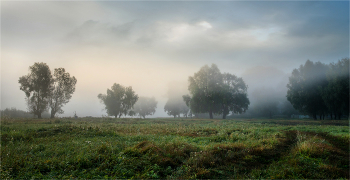 Укутавшись туманом / ***