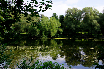 Щучий пруд / Щучий пруд в Кузьминском парке в Москве. Август 2023.
