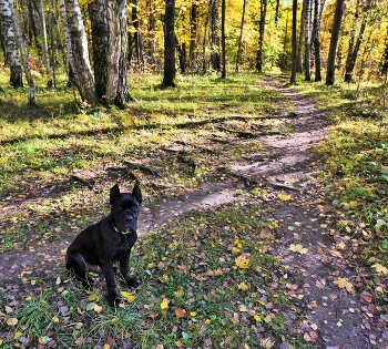 Первый октябрь в его жизни ... / ***