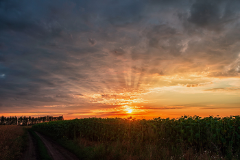 восход в полях / на Красивой Мече
