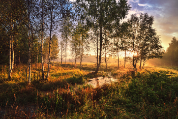 осеннее утро / ***