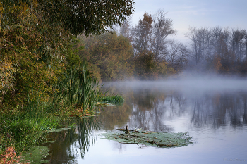 Осень / Небо затянуто тучами. Туман стелится по воде...