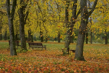 Осень / Ботанический сад