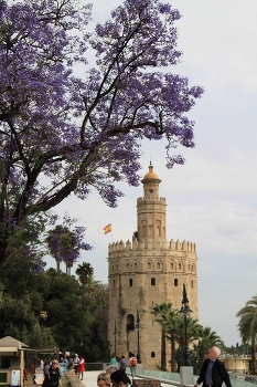 Весна в Севилье / ***